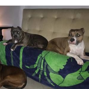 Meet your Posher, Eva